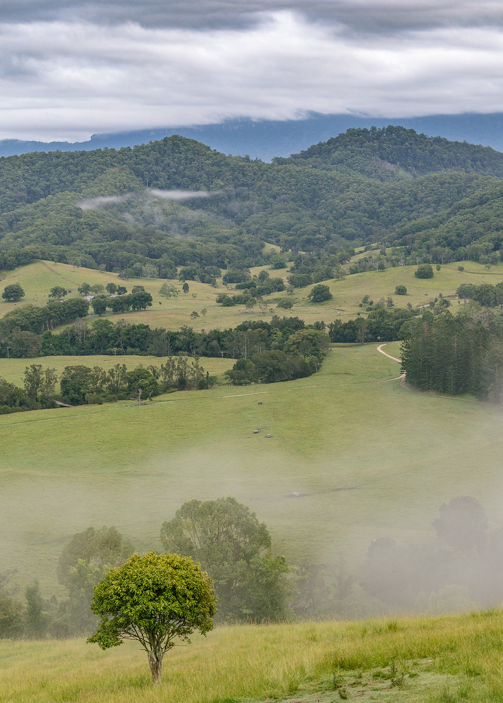 Elevation of Bald Mountain Road, Bald Mountain Rd, Limpinwood NSW, Australia Topographic Map