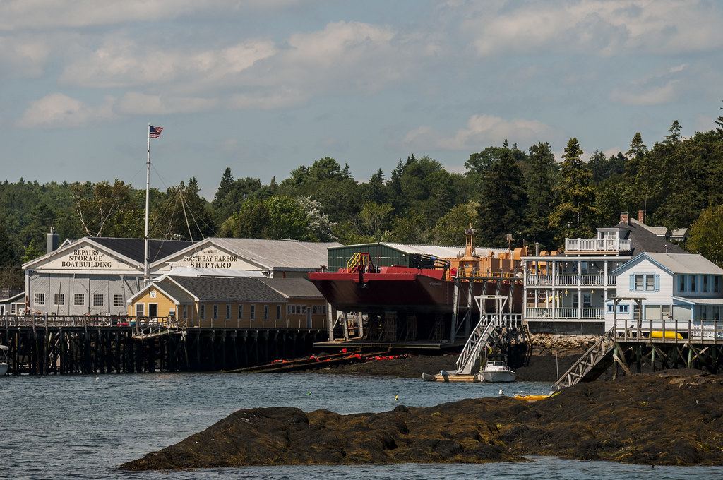 Boothbay Harbor Whale Watch 22 Cap’n Fish’s is the ORIGINA… Flickr