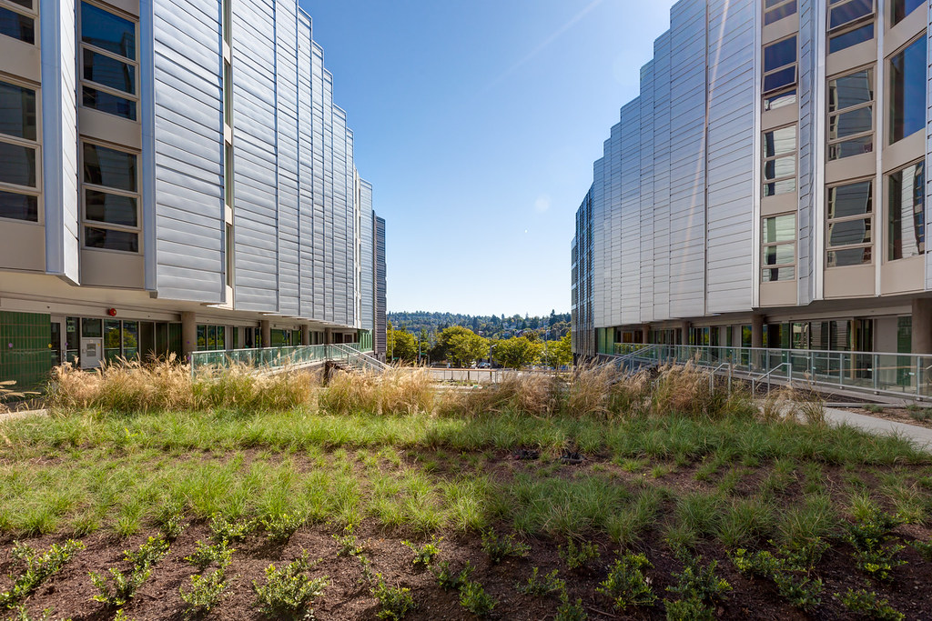 UW Mercer Court landscape CBPhotography&Ankrom Moisan Flickr