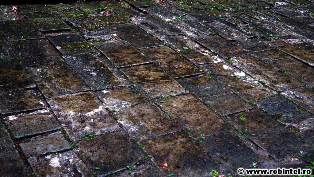 19. Murus Dacicus Un misterios drum de piatra probabil… Flickr