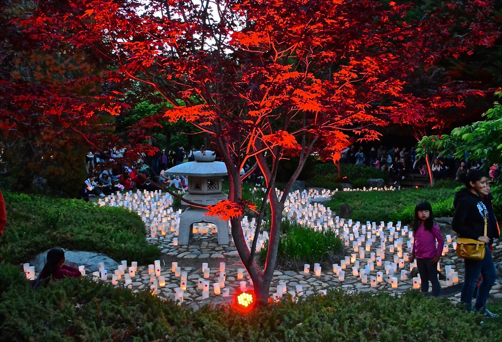 CANBERRA NARA CANDLE FESTIVAL Graham Hine Flickr