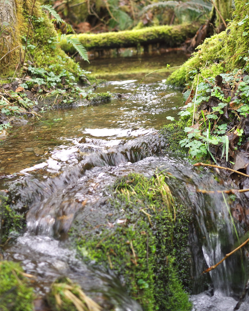 MiniWaterfall Moss Lake Park Carnation, WA Mr.LeeCP Flickr