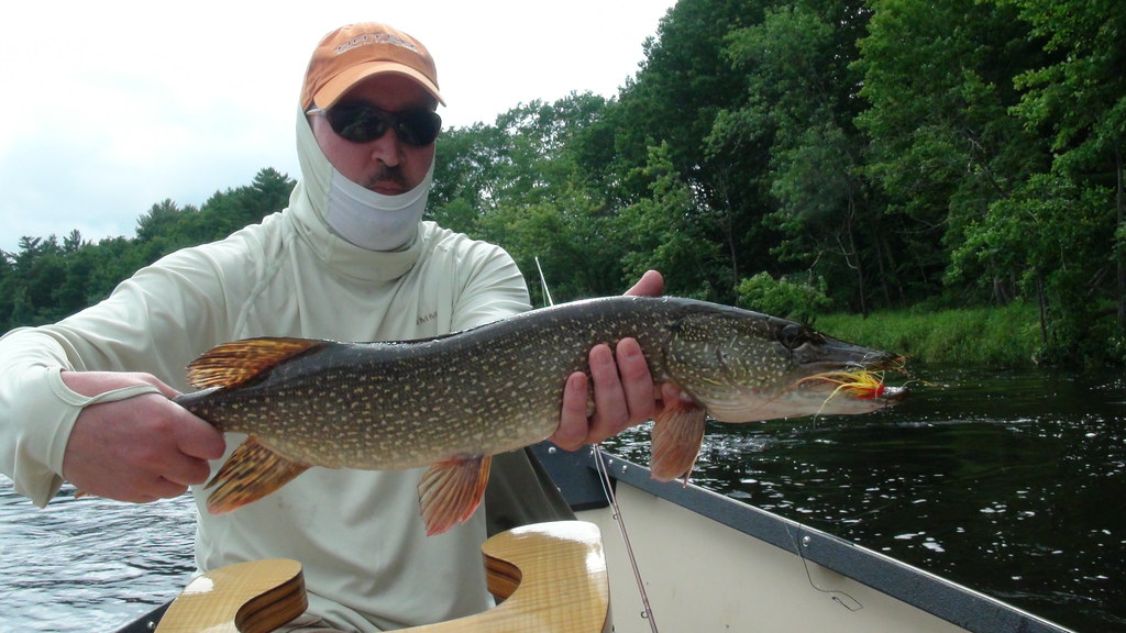 Maine Pike Androscoggin River Greg B Flickr