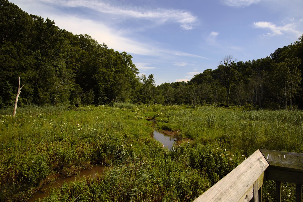Westmoreland State Park, Montross, Virginia Flickr