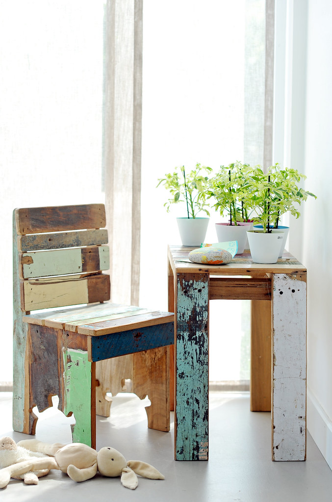 09_Junge Schefflera Pflanzen im Kinderzimmer Pflanzenfreude.de Flickr