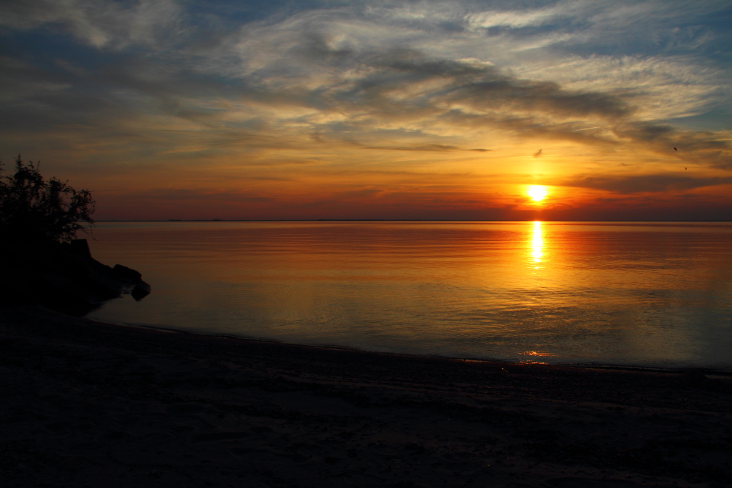 LCS First Shot Bonneau Beach, SC Monte Flickr