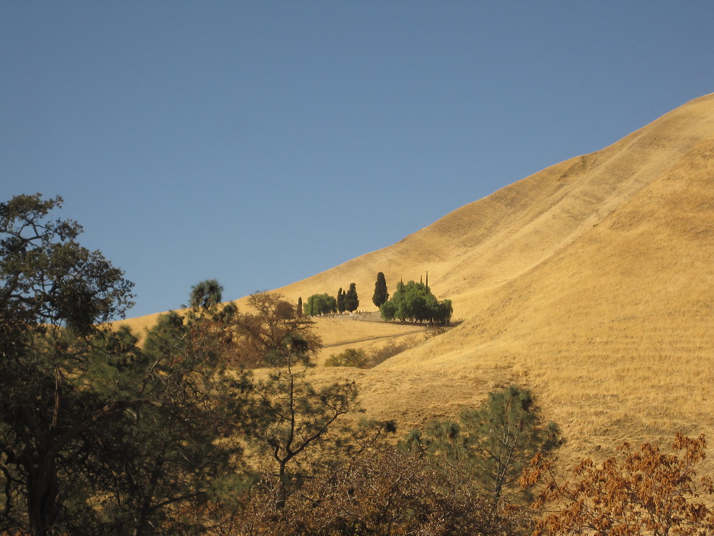 Rose Hill Cemetery juliayncolemanphoto Flickr