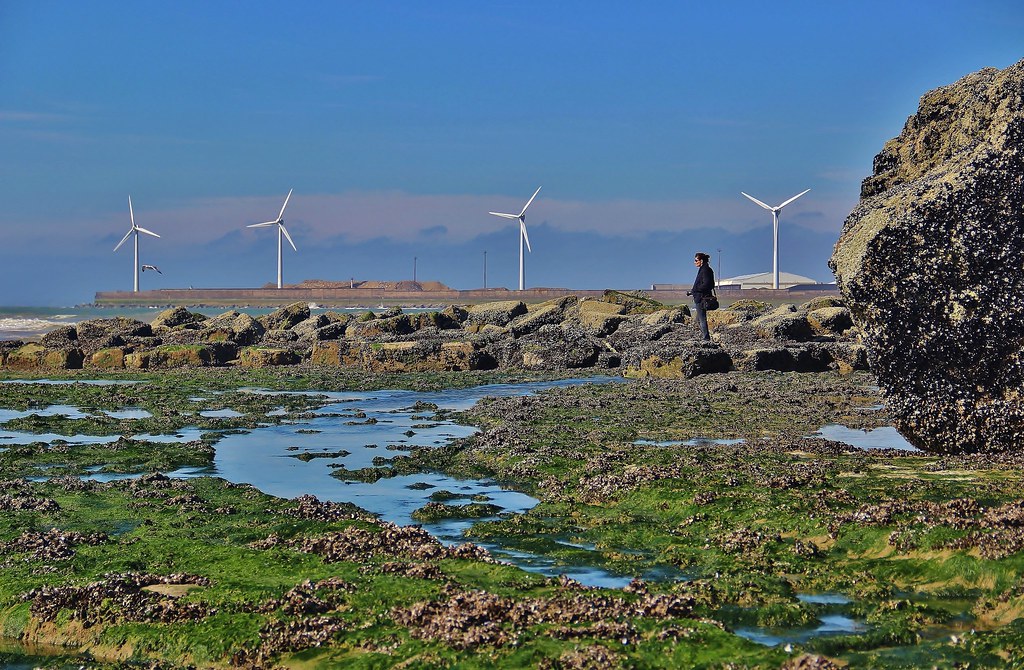 Avoir le vent en poupe !! Francky 3D Flickr