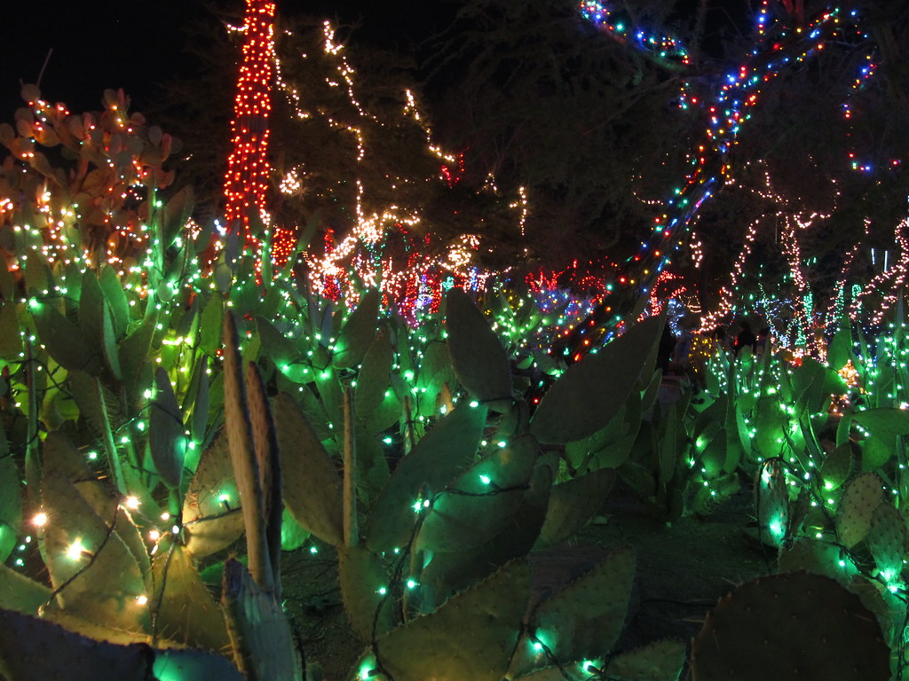 Christmas Display, Ethel M Botanical Cactus Garden, Hender… Flickr