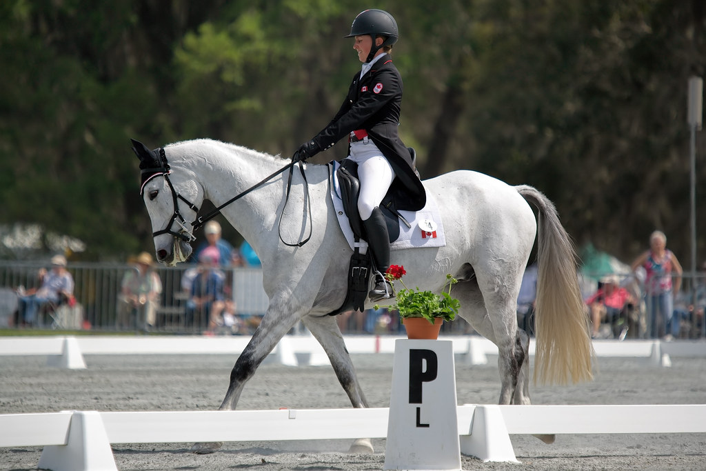 Dressage Red Hills Horse Trials, Tallahassee, Florida Jim Eichstedt Flickr
