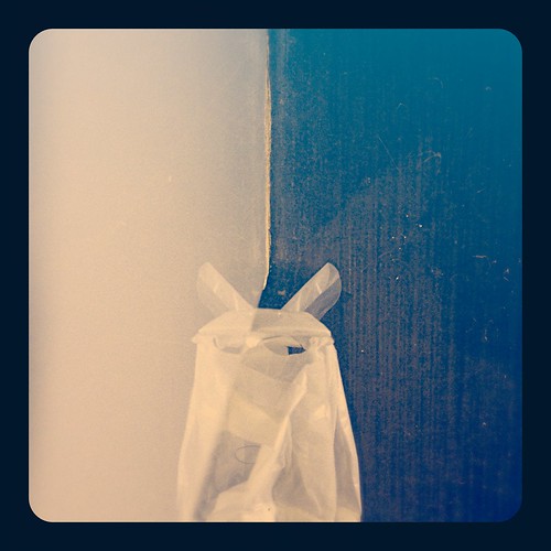 Plastic Bag plastic bag lying on the bathroom floor, mirro… Flickr