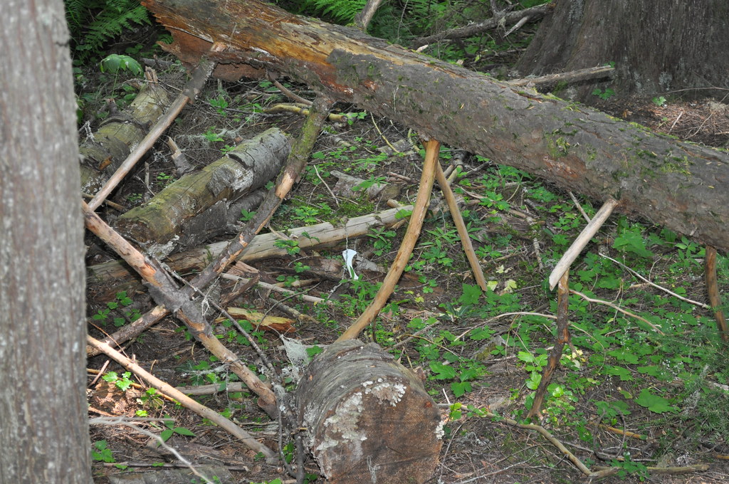 DSC_0405 The Mullan Military Road Historical Site commemor… Flickr