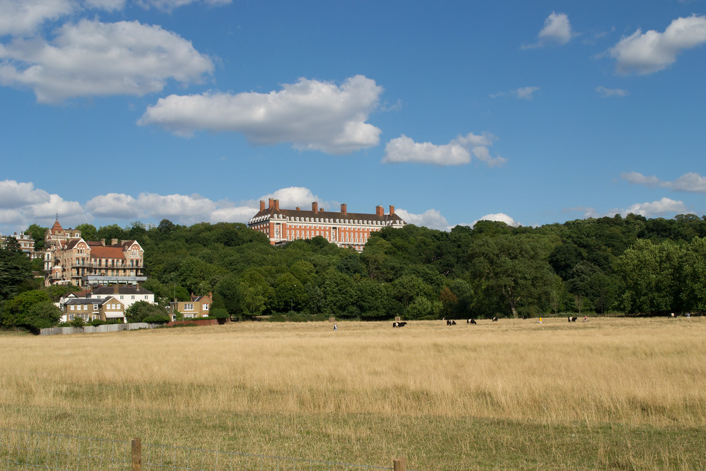 Approaching Richmond, view across Petersham Meadows Flickr