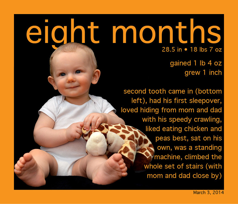 1 Month by the Numbers side of Fryes