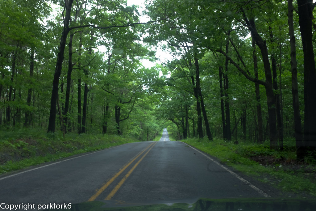 Elevation of Bellwood, PA, USA Topographic Map Altitude Map