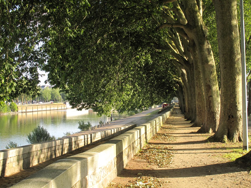 Anjous 2013 598 visite en Anjou en juin 2013 Alain Rouiller Flickr