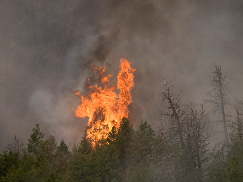 20130720FSUNK0016 The Lodgepole Fire in the SalmonChal… Flickr
