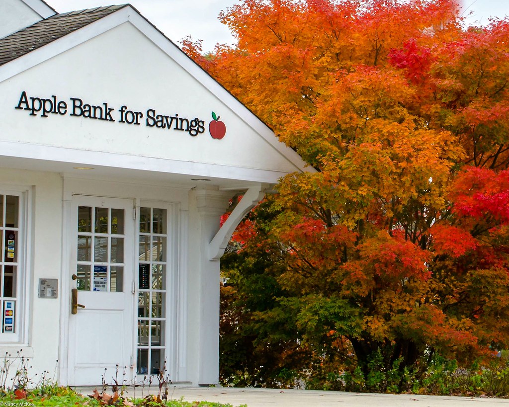 Apple Bank Tree East Hampton, NY Nancy McKee Flickr