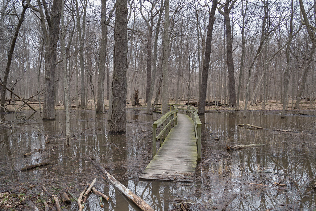 Ryerson Woods As the Des Plaines river overflows its banks… Flickr