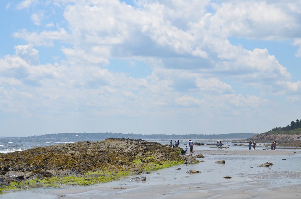Higgins Beach, Low Tide Joe Shlabotnik Flickr