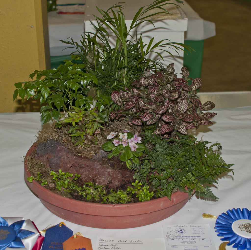 Dish Garden DSC_8498 Photos Uploaded here are for ASVM (Af… Flickr