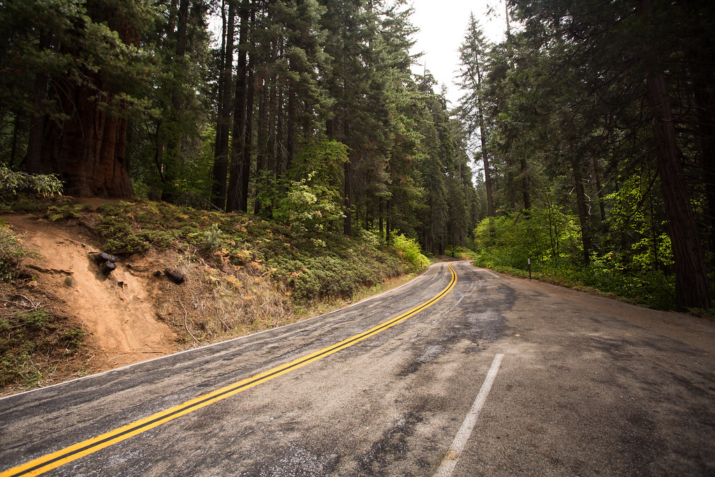 Road to Yosemite Driving through The Sequoia National Park… Flickr