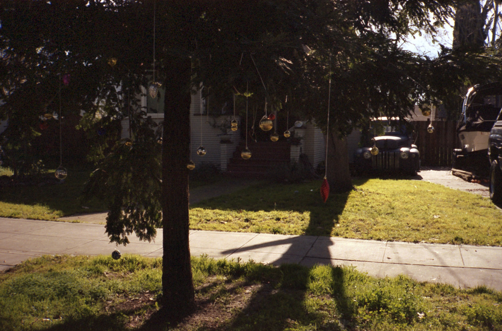North Oak Park, Sacramento, CA Contax T2 w/ Kodak Portra 4… Flickr