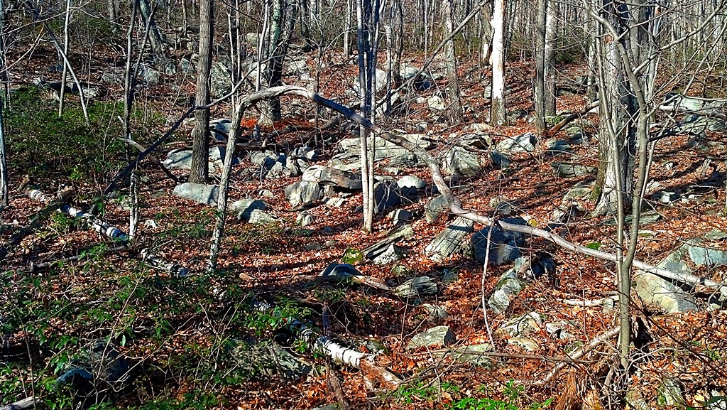 Ashokan High PointCatskills New York Flickr