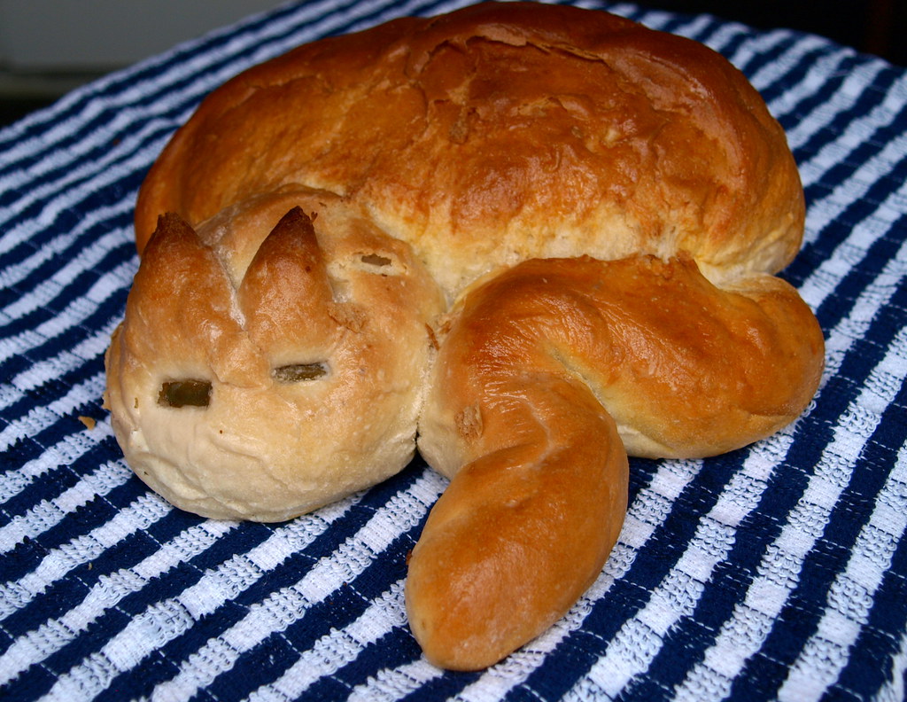 Cat shaped bread Thanks to Tina Kenny and Botany Bay © 201… Flickr