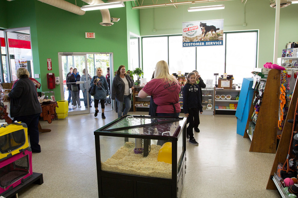 IMG_45222112598663O PET DEPOT Flickr