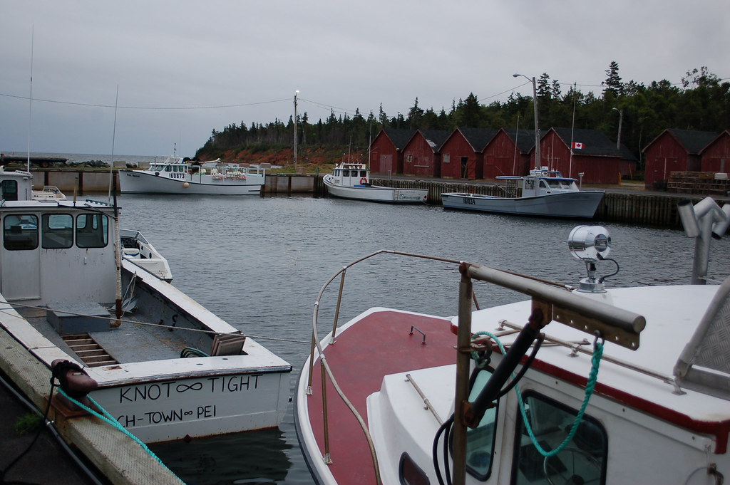 PEI 201308246 Fortune Shane MacClure Flickr