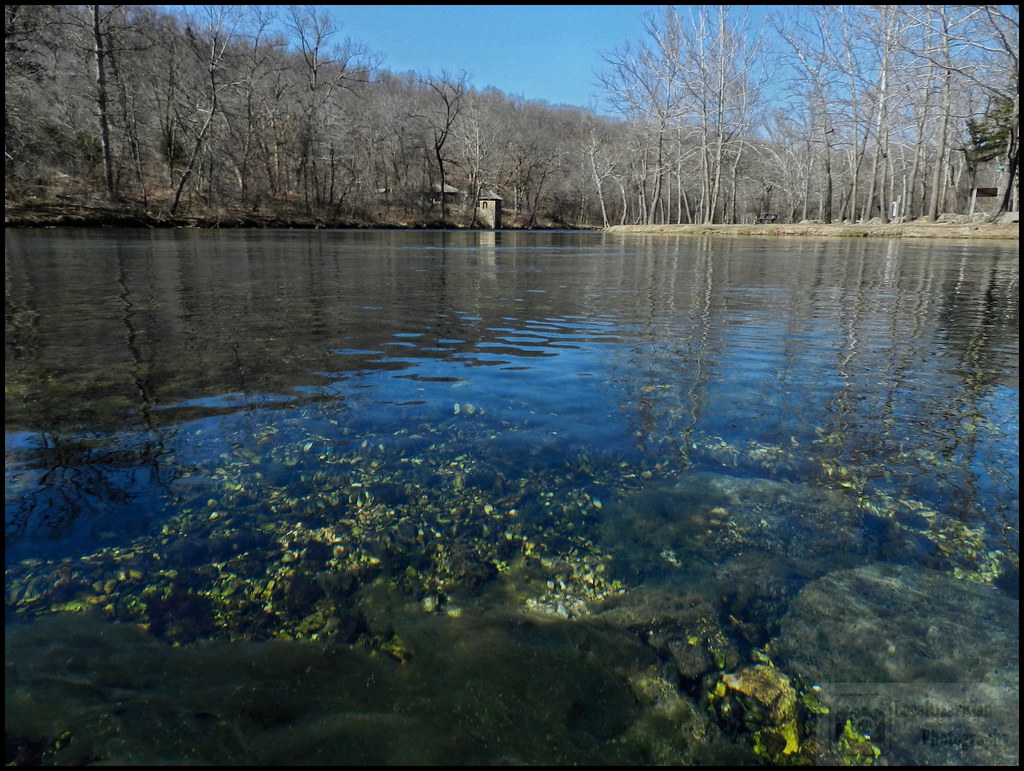 Springs State Park Taken just days before the star… Flickr