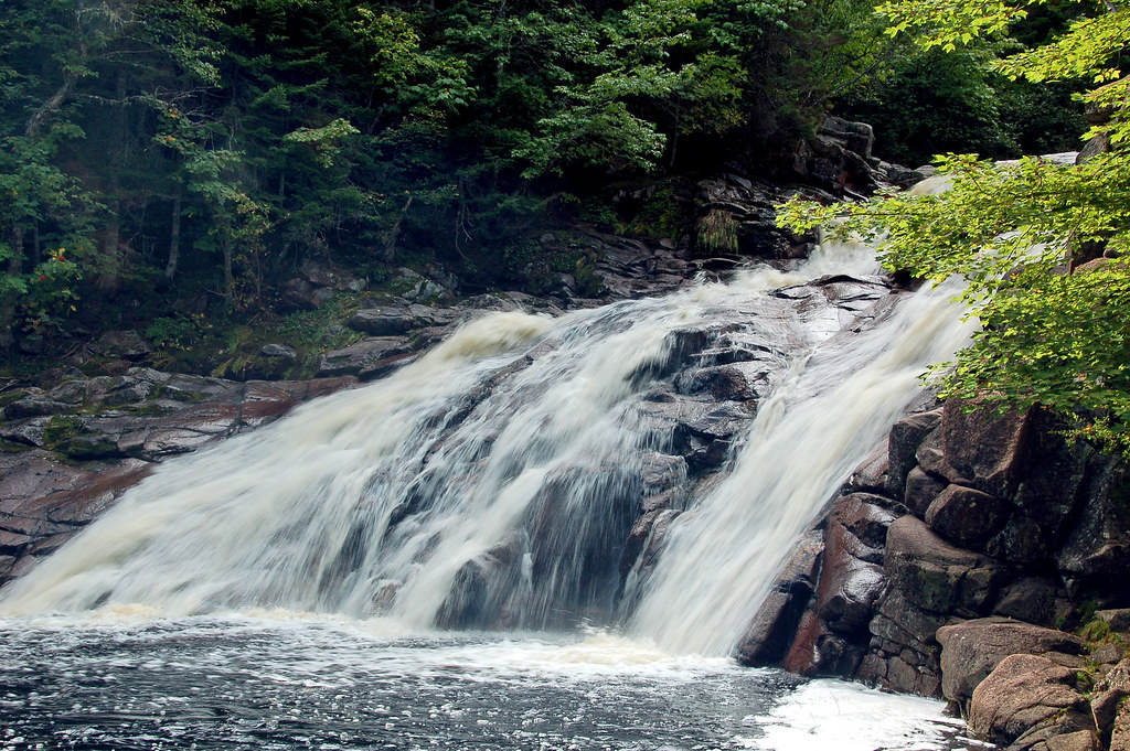 DSC_0205 Cape Breton Highlands NP Nova Scotia mosey_cat Flickr