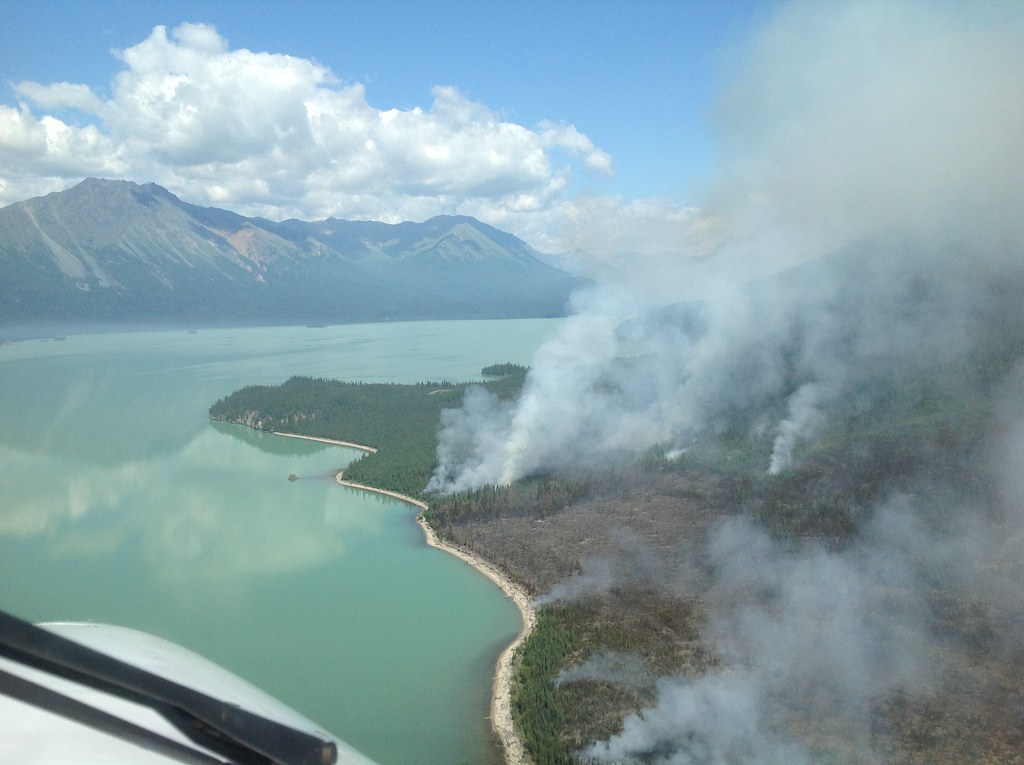 Currant Creek, LACL Photo By Mike Roos, 07262013, National Park
