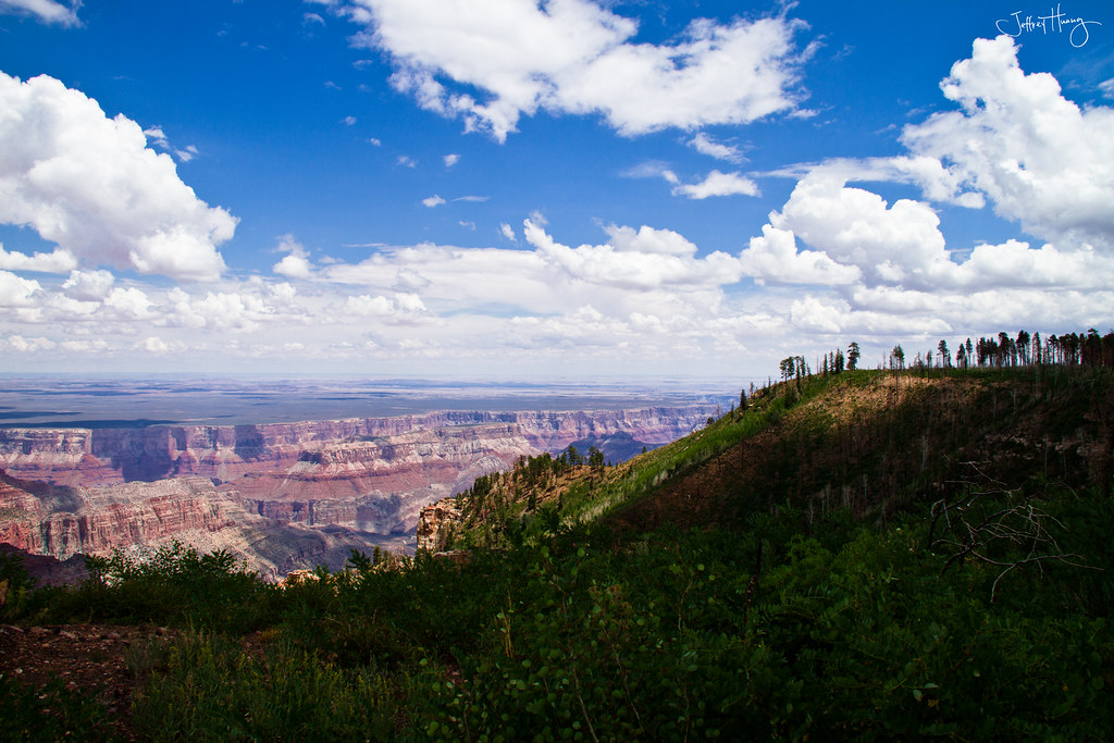 Kaibab Plateau 2 Grand Canyon National Park North Rim Summ… Flickr