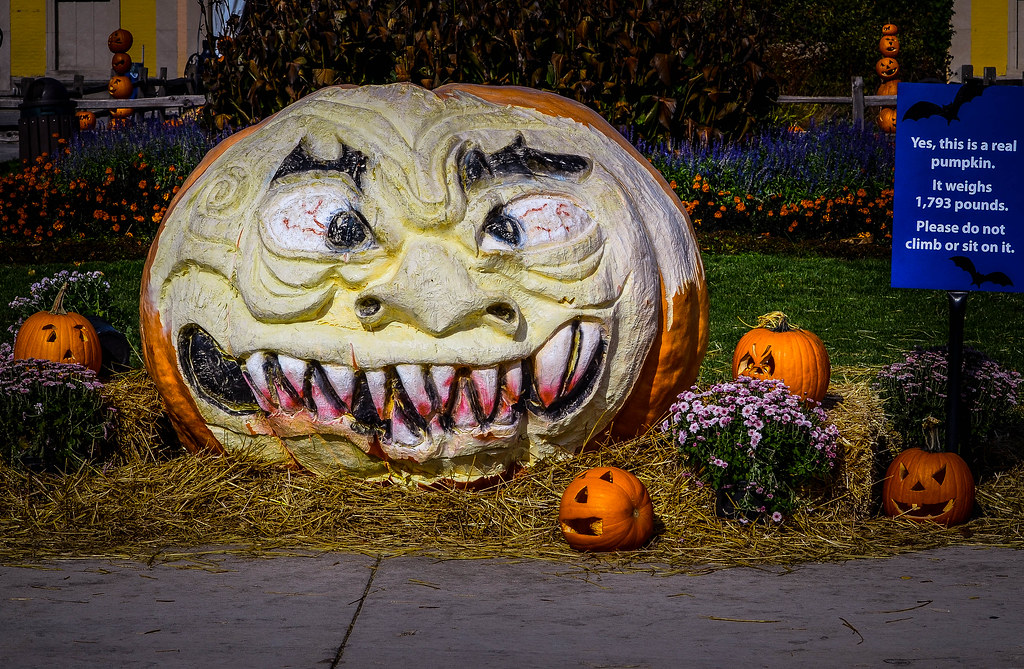 Happy Halloween Brookfield Zoo Aliye Hart Flickr