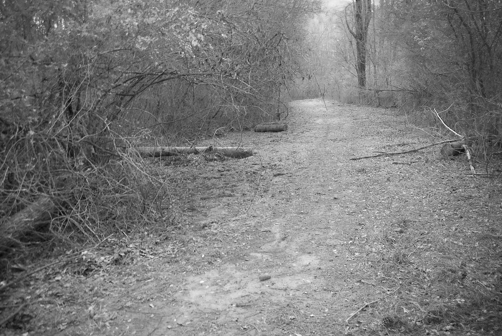 Down by the creek bank Along Ward Creek in Cobb County, Ga… Flickr
