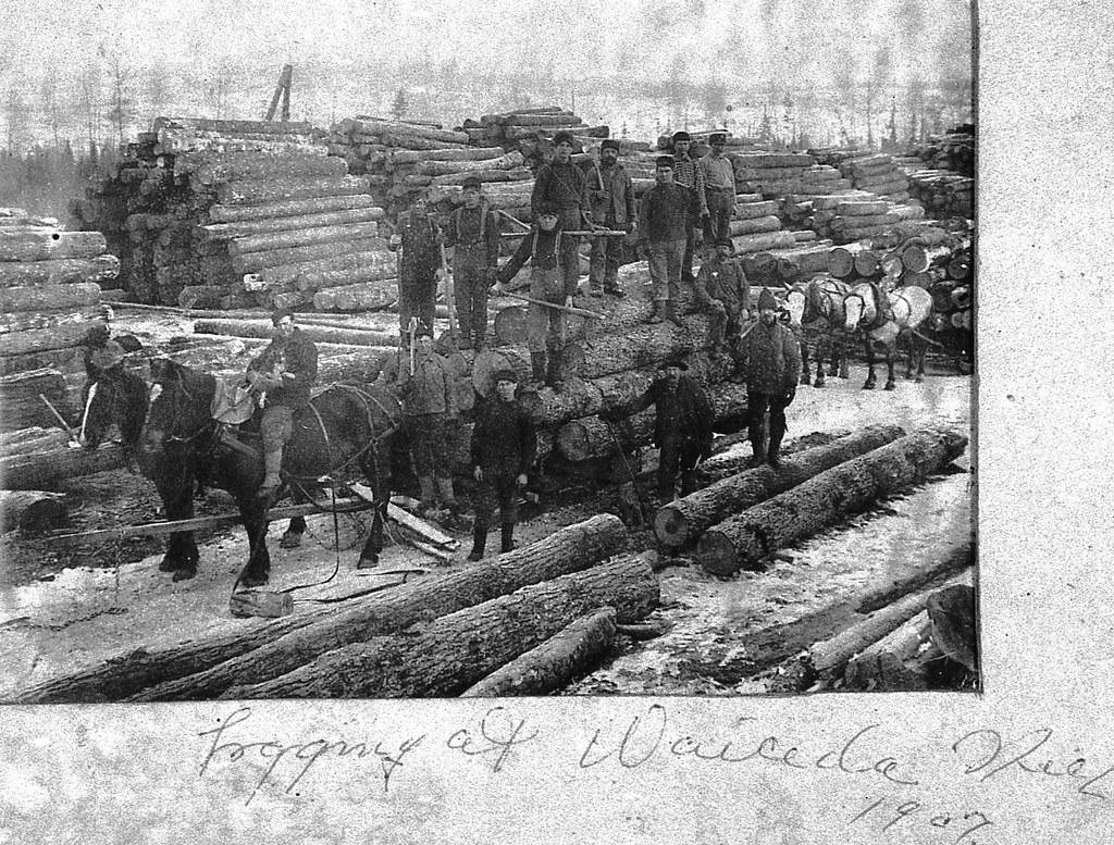 1907 Logging at Waicida Mill History of Wabeno Wisconsin Flickr