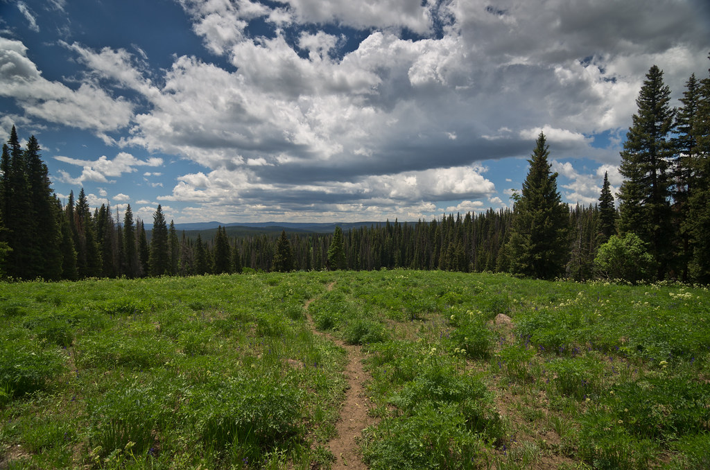 Elevation of County Rd, Kremmling, CO, USA Topographic Map Altitude Map