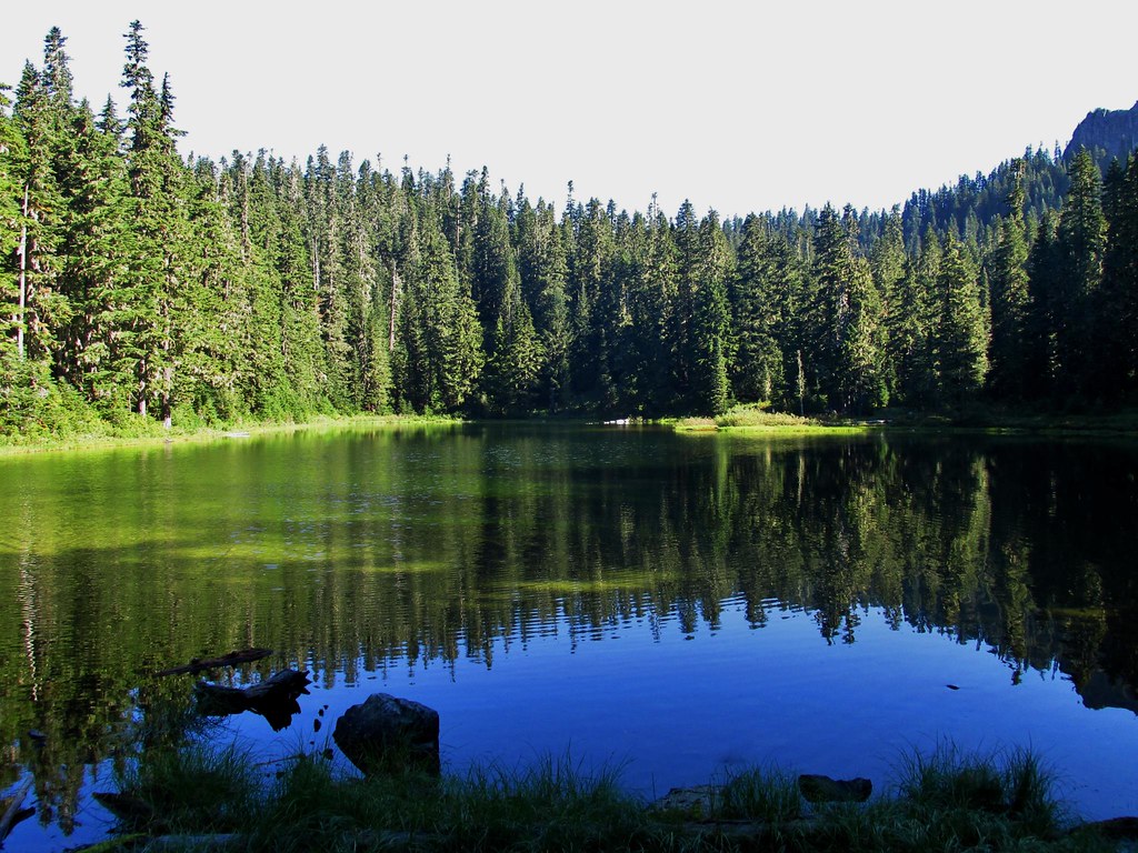 Lake Christine daffish Flickr