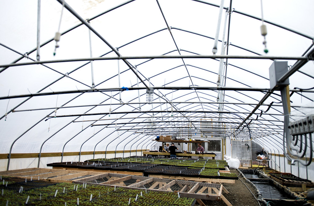 20170325_RI_CHERRY VALLEY COOP WEEK 2_WORKING_06 Landmark Hospitality