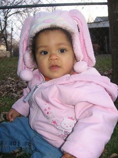 11273777175 | maureen sullivan | Flickr