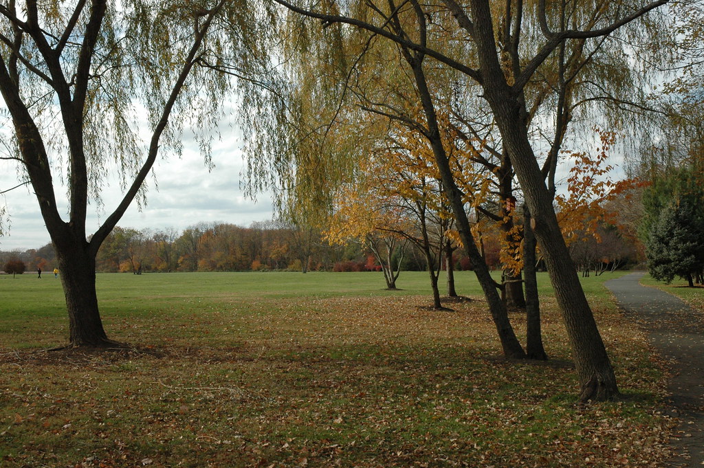 Silence of Heritage Park, Allentown, NJ 011 HeronThere Flickr