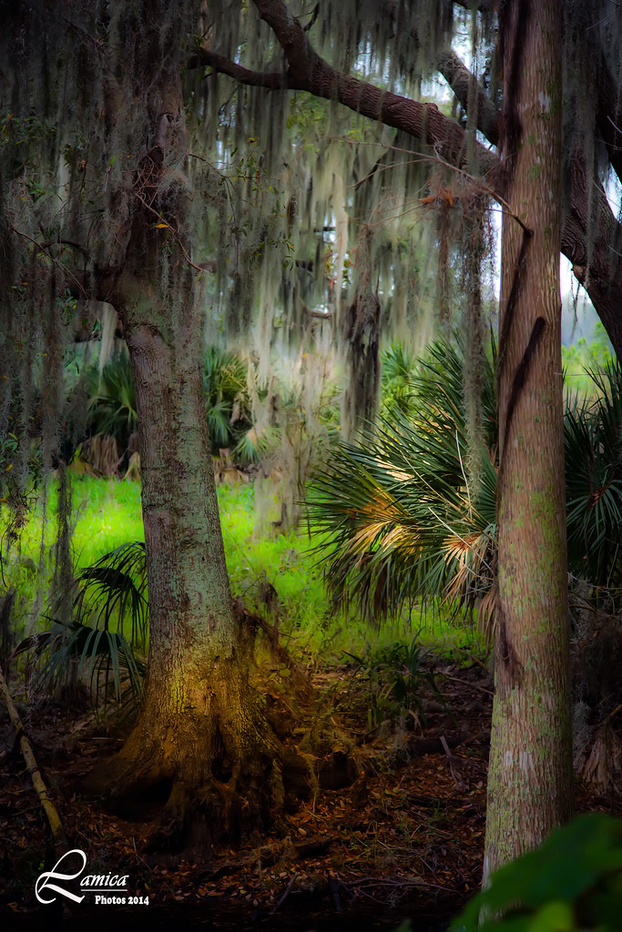 FT6A6488 Circle B Ranch FLAMICA Flickr