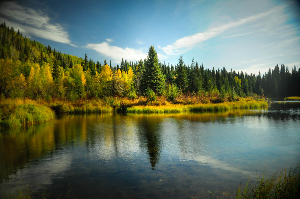 Salcha AK Jonathan Hedges Flickr