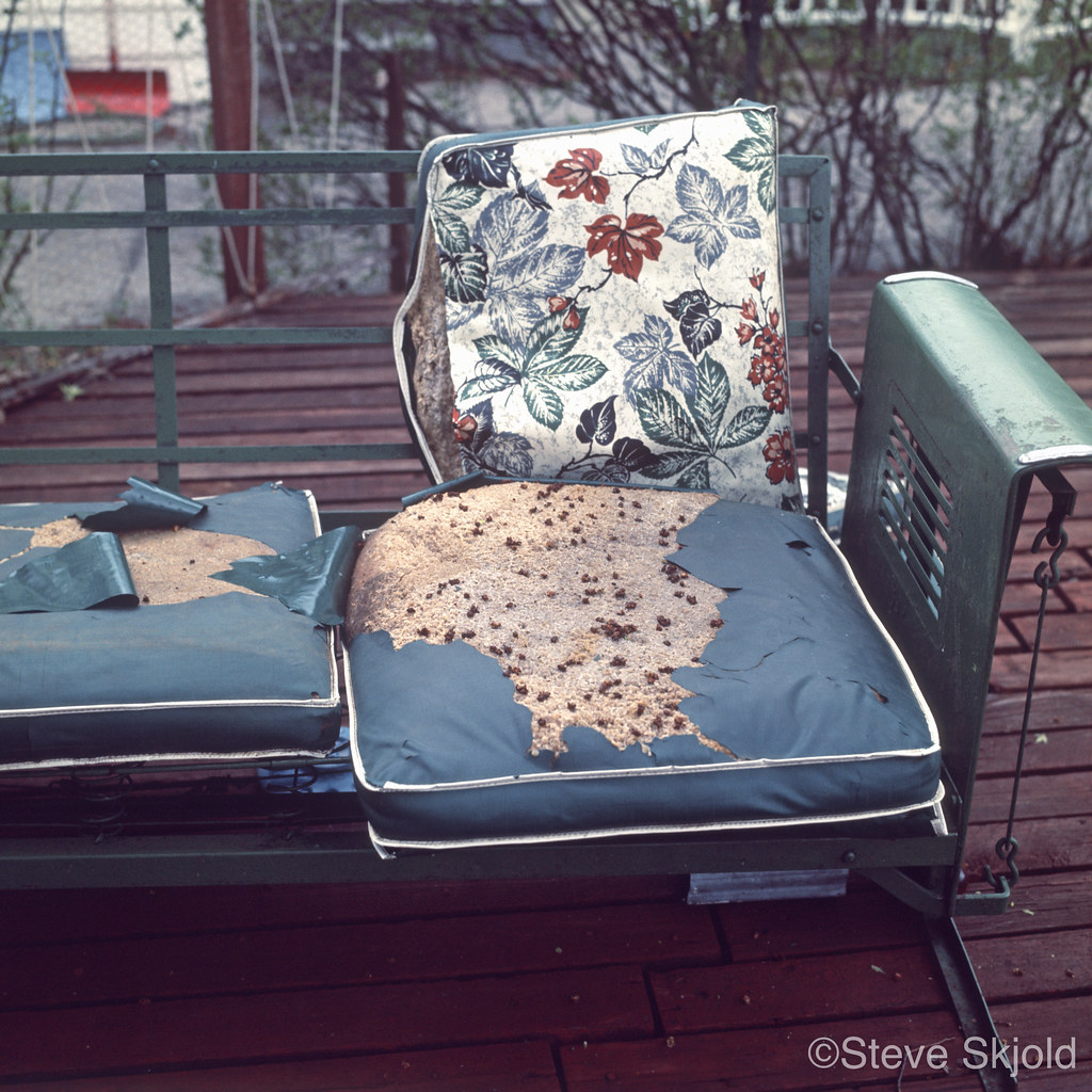 Glider Cushion Dilapidated torn, warn out cushion on deck … Flickr