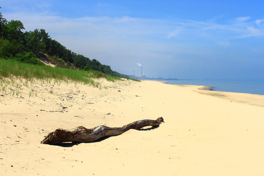 Driftwood Indiana Dunes State Park, Northwest Indiana Flickr