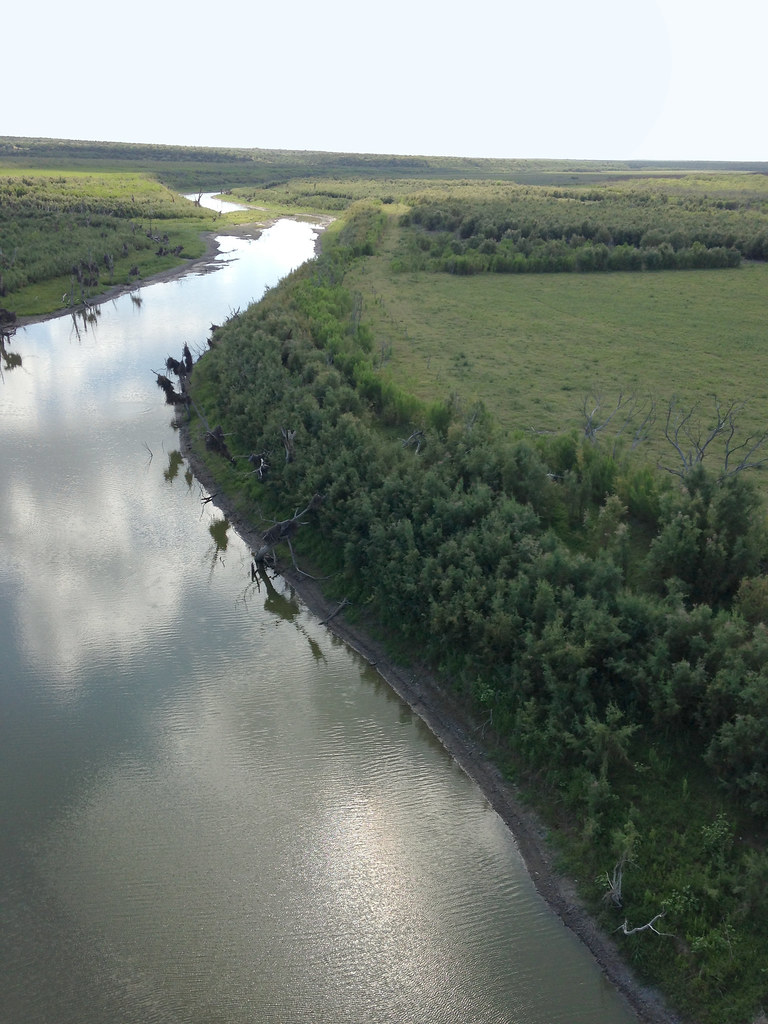 OH Ivie2 OH Ivie, by Mark Ellison TWDB Flickr