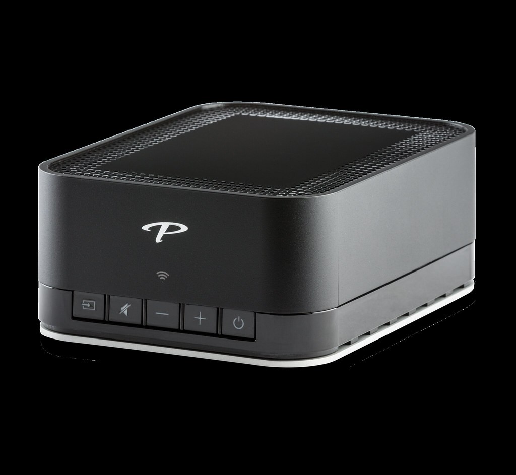 Paradigm® PW AMP