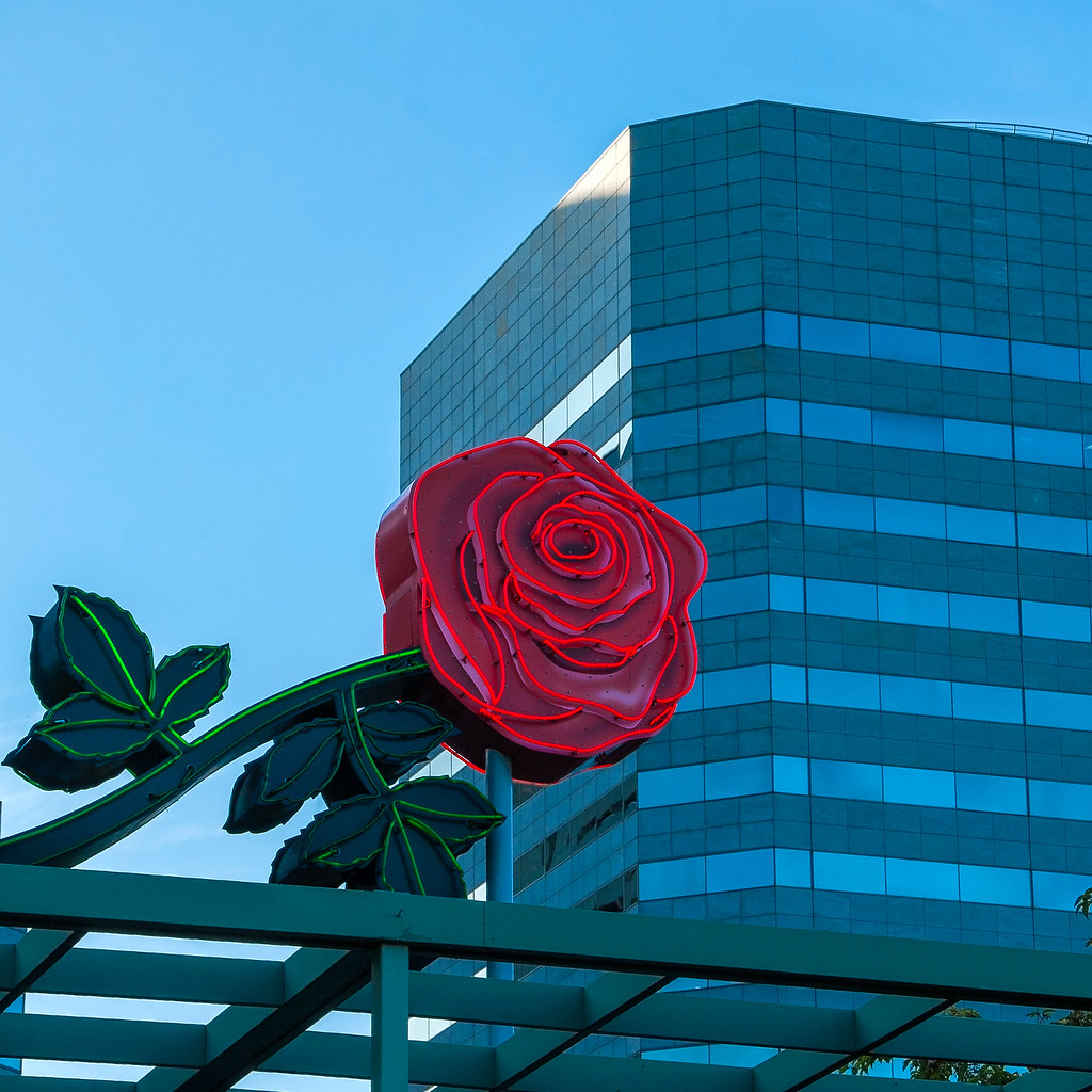 A Bit of Portland 2.jpg The City of Roses. Sheila Sund Flickr